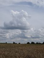 clouds over a summer field