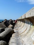 Landscape near the ocean in summer