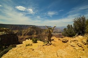 view over the gorge in the Grand Canyon