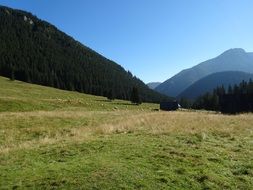 green valley at the foot of the western Tatras
