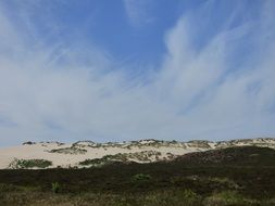 Sylt Dunes Dune Grasses