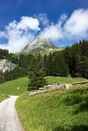 Mountain Clouds Trail