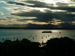 Sailboats on a sea in Seattle