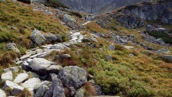 Poland The National Park trail