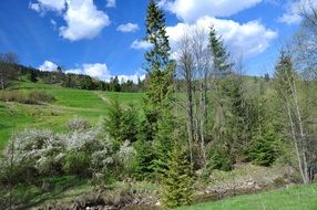 distant view of a green meadow at the foot of a mountain