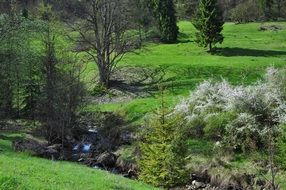picturesque landscape with a stream
