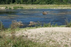 shores of the Danube