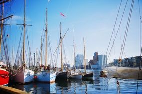 boats in the city port on a sunny day