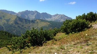 western tatras under the bright sun