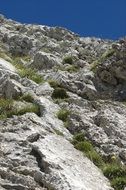a steep descent with the plants from the mountain
