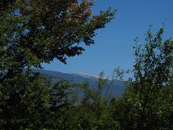 Ventoux mountain in Provence