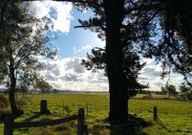 light and shadow in the countryside