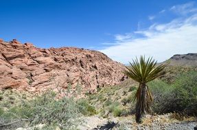 scenic red rock canyon in Nevada