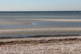 photo of low tide on the beach