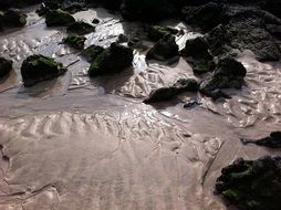 stones in the sand on an ocean beach