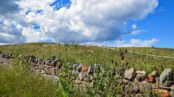 Landscape with the meadow in Scotland