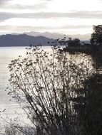 photo of serene lake