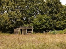 Cabin on the field in France
