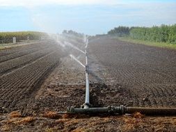 waterubg of the agricultural field