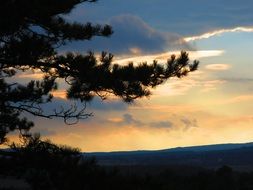 pine branches at colorful Sunset sky, hungary, bakony