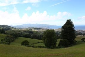 Azores Cottage Green