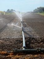 watering of the arable field