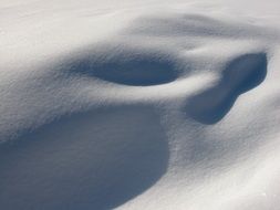 Snowdrifts