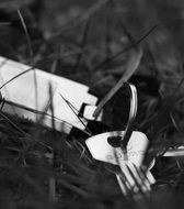 the keys in the grass