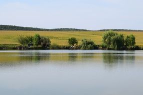 trees by the lake under a blue sky