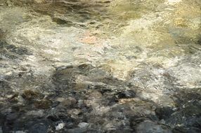 Mountain River Flow closeup