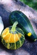 pumpkins on the table