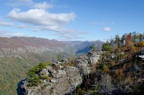 autumn forest on rocks at canyon, usa, North Carolina, Linville Gorge