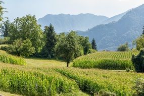 Scenic landscape with the green mountains