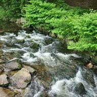 landscape of river among stones in a black forest