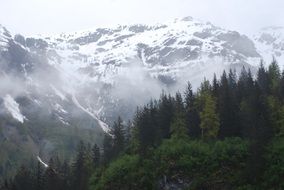 panoramic view of alaska nature in fog