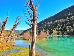 river with turquoise water at the foot of the mountain
