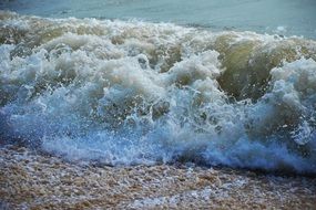 incredibly attractive Sea Wave