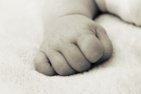 black and white photo of baby hand