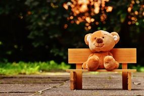 Cute colorful Teddy bear on the bench in the park among the plants