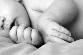 hands of a newborn close up