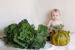 photo portrait of a child, cabbage and pumpkin