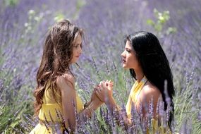 two models on the lavender field
