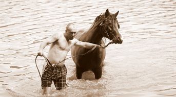 man with a horse in water in monochrome image