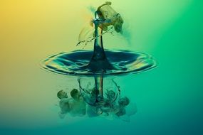 image with water and its reflection