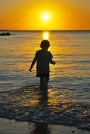 incredibly beautiful girl at Sunset