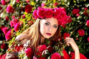 attractive woman on the rose bush background