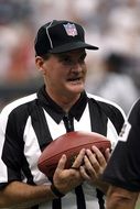 referee in professional football
