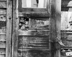 poor children behind a wooden fence