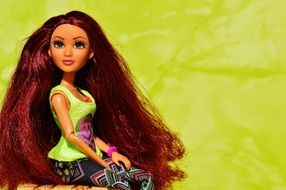 doll with long brown hair