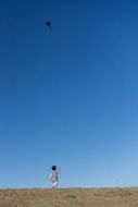 baby kite flying in blue sky